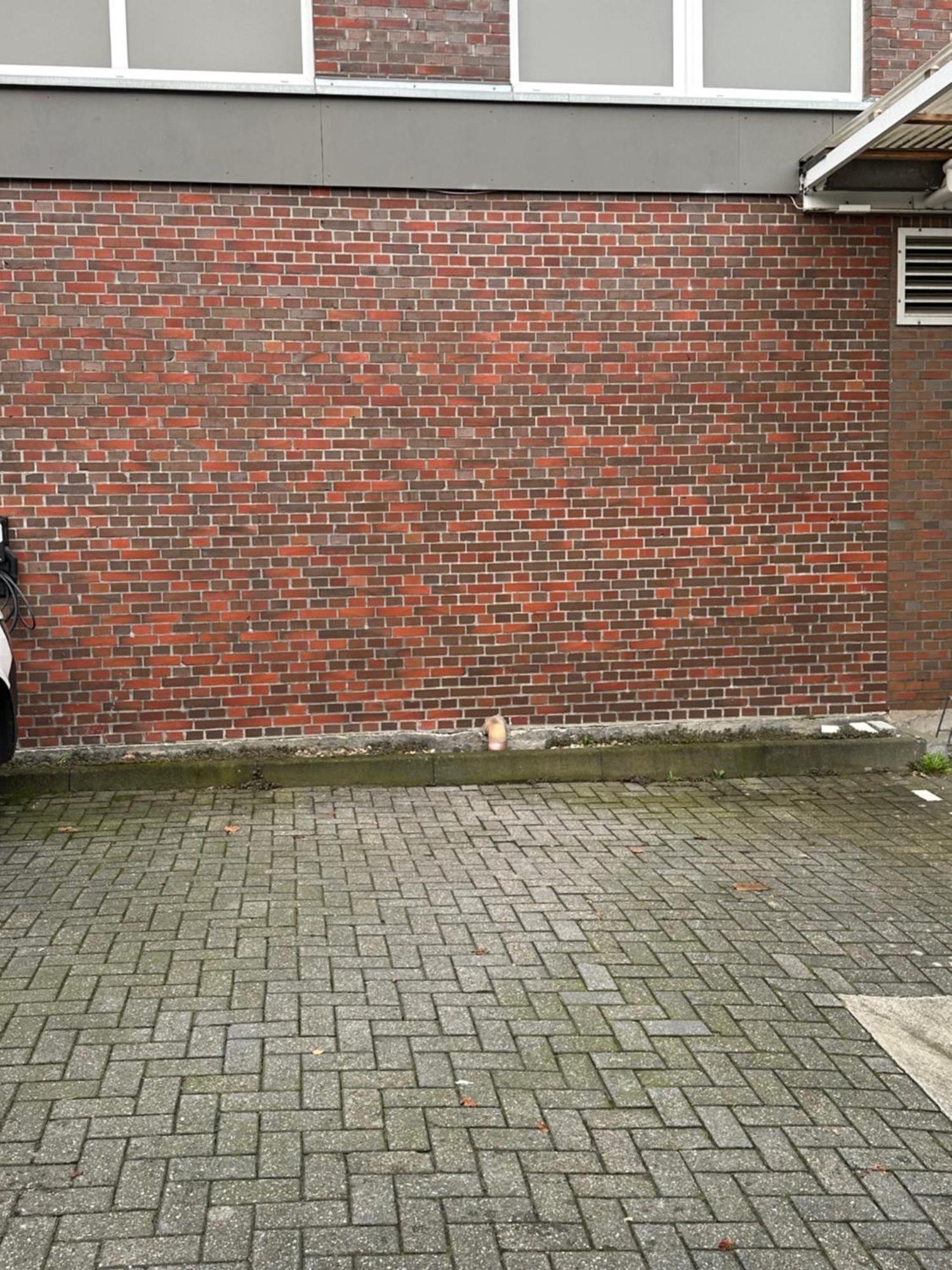 Grosszuegige, Zentrale Ferienwohnung In Leer Exteriör bild